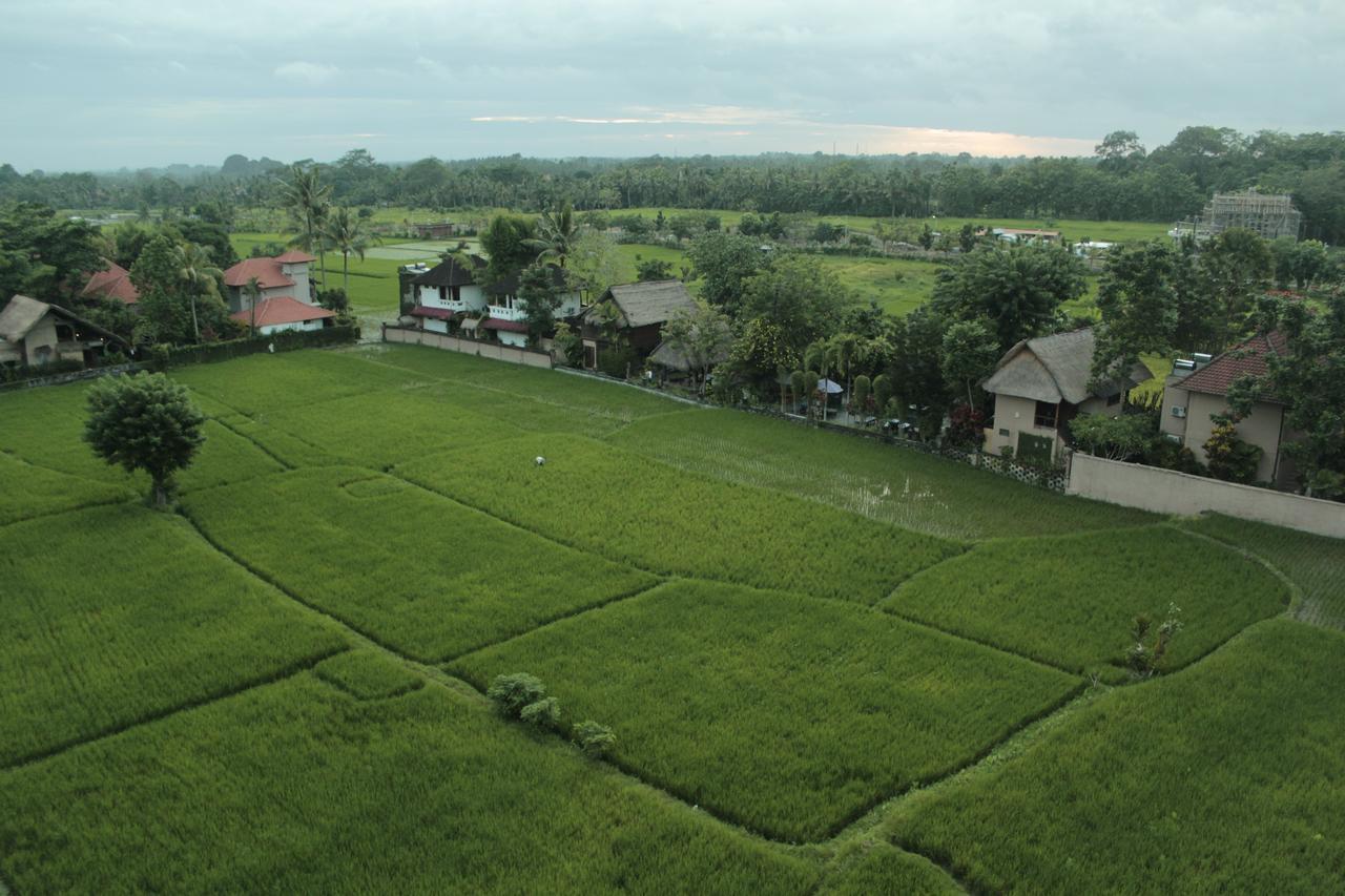 Resort The Evitel Ubud